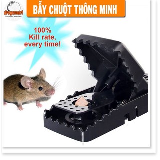 ✔️✔️✔️ Dụng Cụ Kẹp Bẫy Chuột Thông Minh