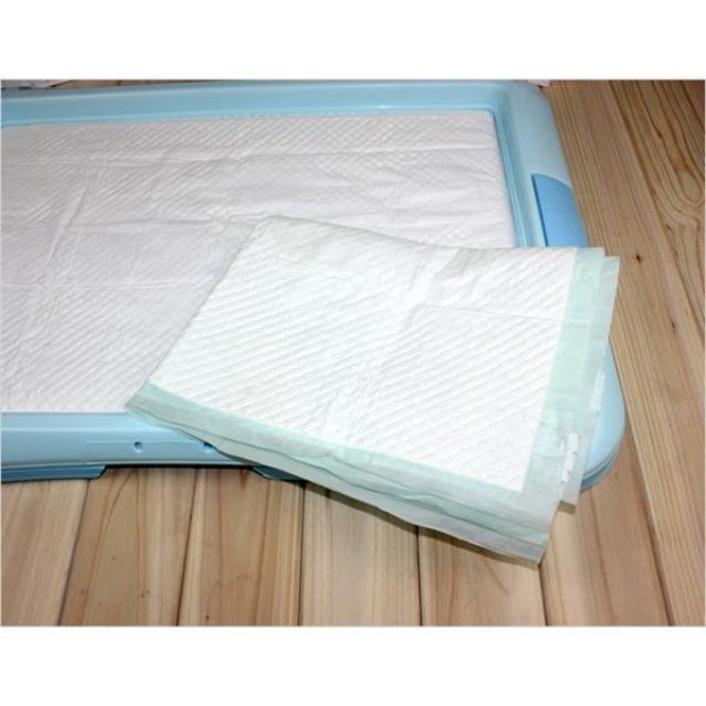 Tấm Lót Vệ Sinh Cho Thú Cưng