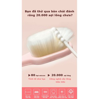 Bàn chải đánh răng Anriea