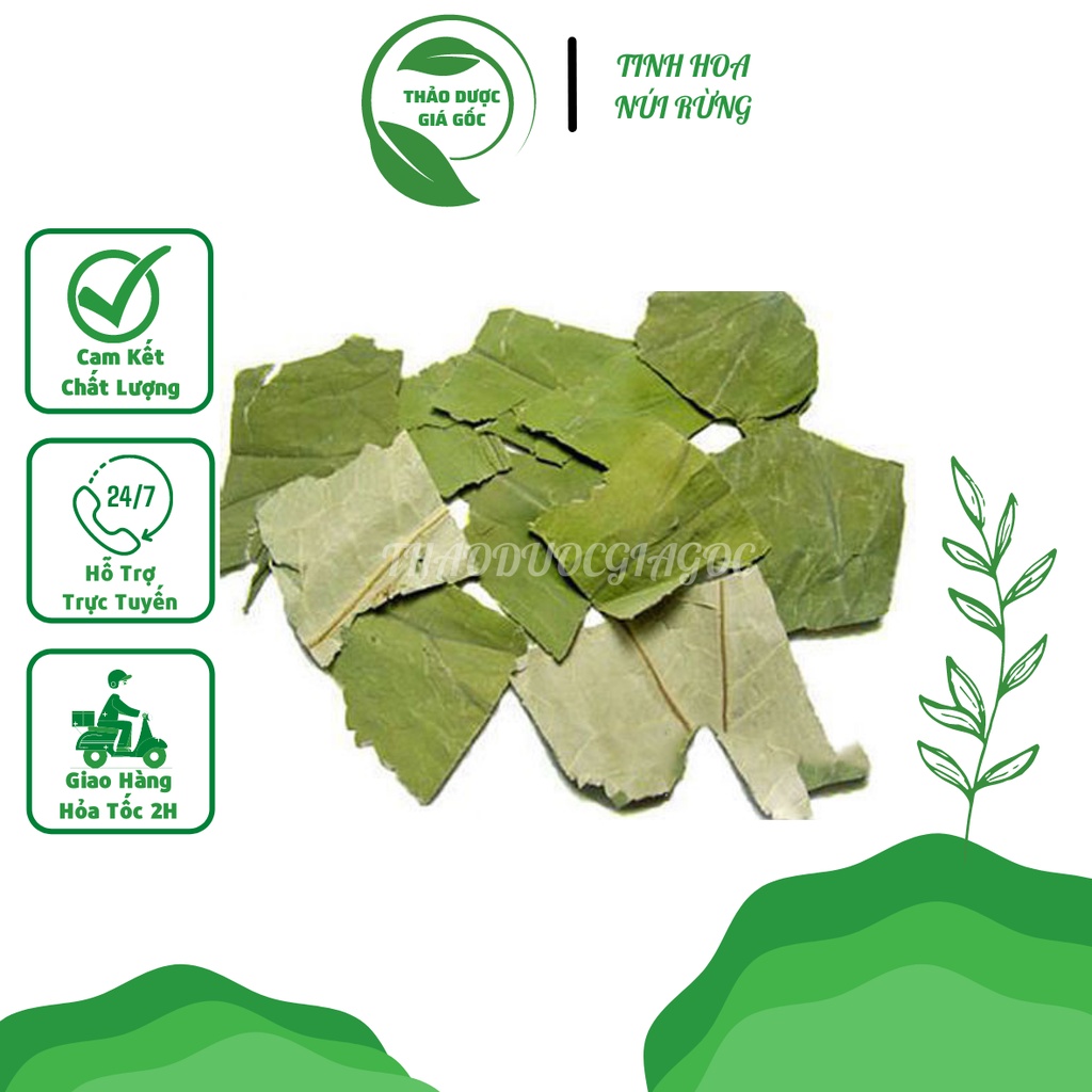 Lá Sen Khô 1KG hàng loại 1 xanh, thơm, sạch