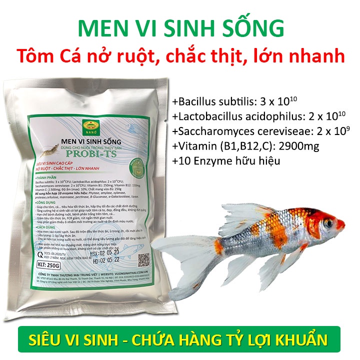 Men vi sinh sống vỗ béo Tôm Cá. Nở ruột, chắc thịt, lớn nhanh. Chứa hàng tỷ lợi khuẩn. Ngăn ngừa các bệnh về đường ruột