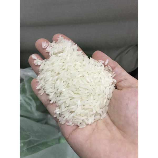 10kg gạo thơm đài loan dẻo vừa mềm cơm