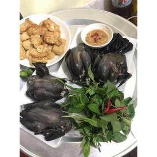 Gà tần thuốc bắc khay 2 con
