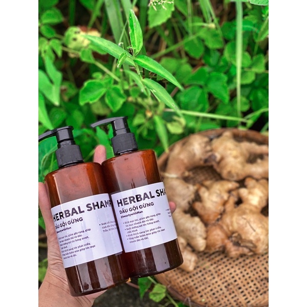 Dầu gội Gừng hỗ trợ mọc tóc @beautywithHan