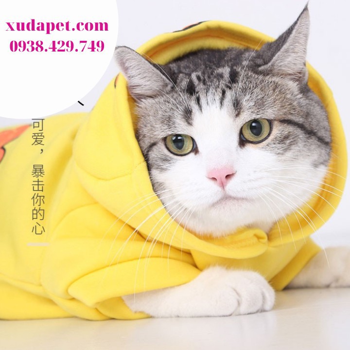 Áo Hoodie Hình Vịt Donald chất liệu thun co giãn cao cấp - Xudapet - SP000561