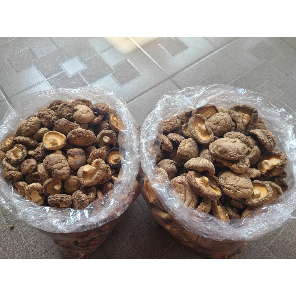 Nấm đông cô - nấm hương size lớn/nhỏ ngọt, dày