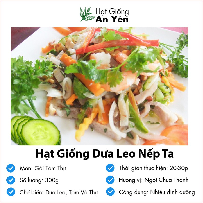 Hạt giống Dưa Leo Nếp Ta thu hoạch sớm, dễ trồng, nảy mầm cao, sinh trưởng khoẻ