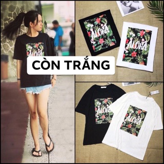 Combo 2 áo thun trắng