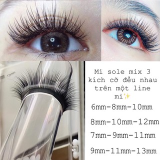 Mi hoa sơn trà (mi mix 3 độ dài sole) ✨🥰