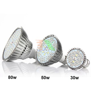 Led trồng cây 30W