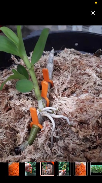 Ghim ki- túi 100 cái