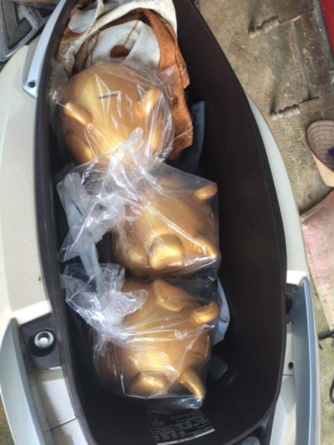 LỢN ĐẤT CÁNH TIÊN | BigBuy360 - bigbuy360.vn