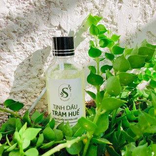 SAM NATURAL Dầu Tràm Huế
