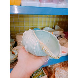 chén ốc biển - vỏ sò cho thú kiểng