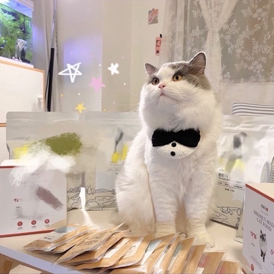 Yếm len nơ đen có cúc cosplay bồi bàn, chú rể...