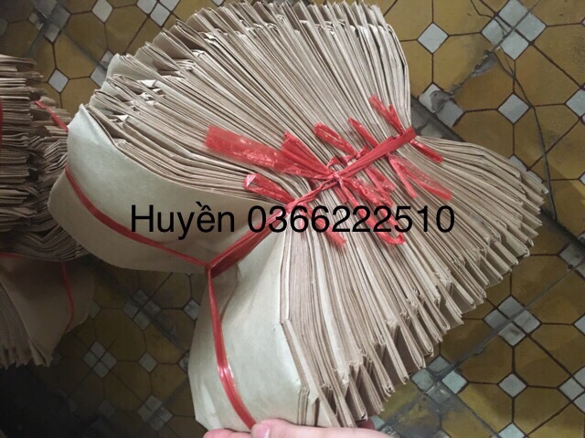 Set 500 túi bánh mỳ kích thước 12-27cm