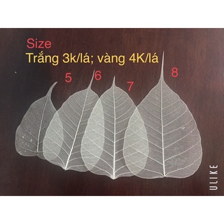 Xương lá Bồ đề