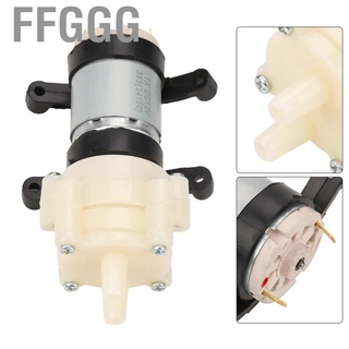 Máy Bơm Nước Mini Dc 12v