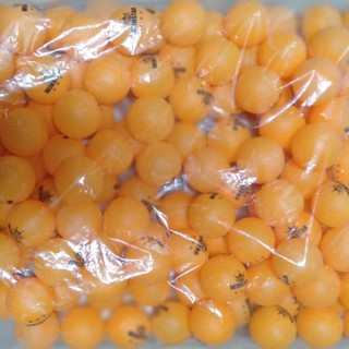 Combo 60 quả bóng bàn tập