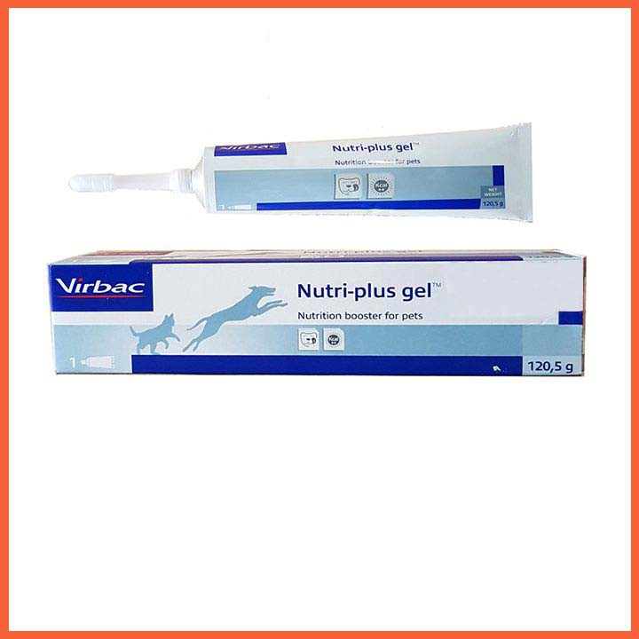 Dinh dưỡng chó mèo nhập khẩu - Nutri Plus Gel