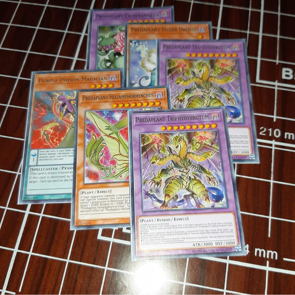 Bài in YugiOh theo yêu cầu - in deck yugioh màu