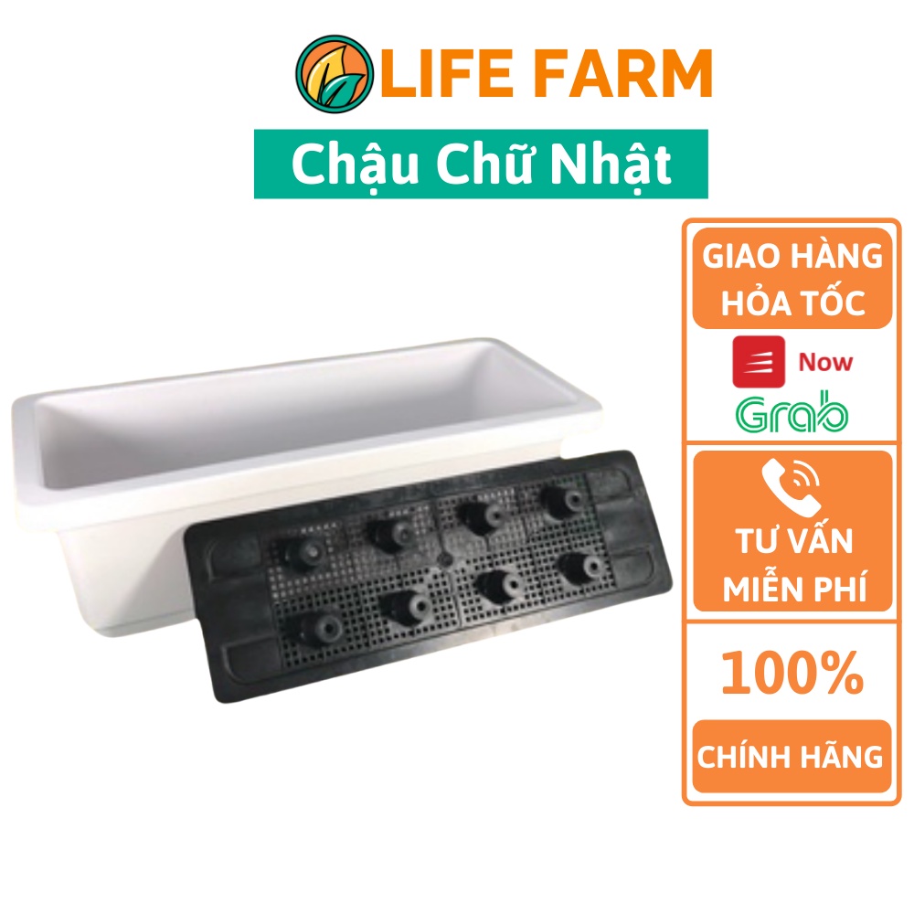 Chậu Nhựa Chữ Nhật Chuyên Trồng Cây Cảnh Và Nuôi Cá Kích Thước 48x20cm (MRN-001-0TRA)