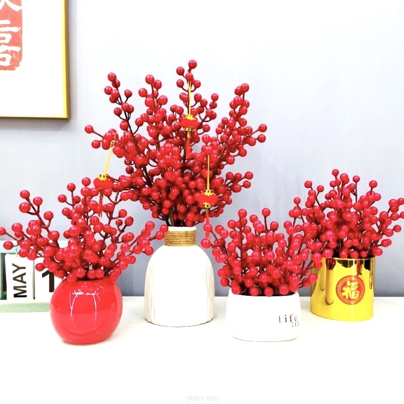 Nhánh đào đông mini 1 nhánh 12 quả to tròn