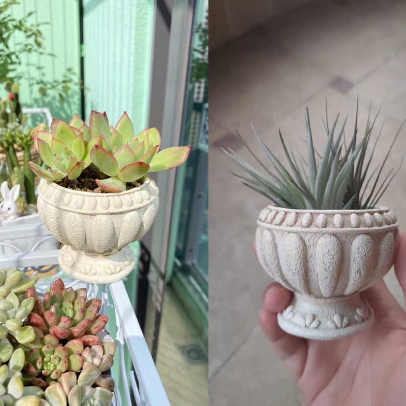 Khuôn Silicone Làm Chậu Cây Mọng Nước Hình Tròn 3D Phong Cách La Mã Cổ Điển