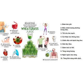 (Raab) - Bột cỏ lúa mì Hữu cơ 140g