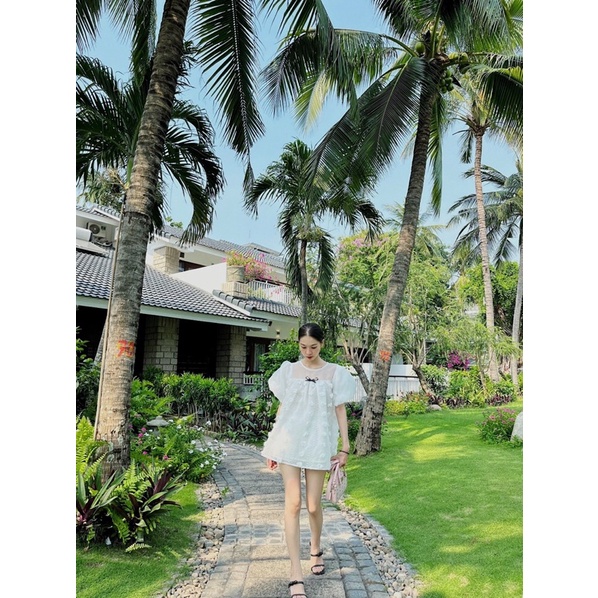Áo tơ tiểu thư xinh xắn