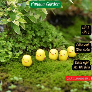 Phụ kiện trang trí chú gà con mini siêu cute, siêu đáng yêu.