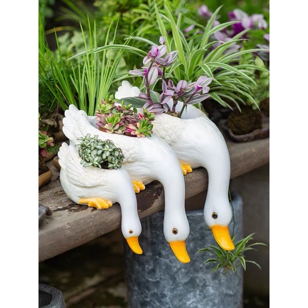 SET 3 CHẬU VỊT TRỒNG CÂY
