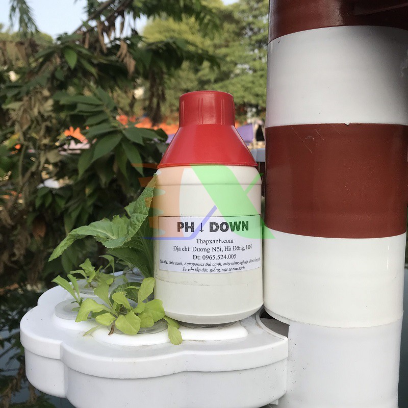 combo 10 Chai dung dịch giảm độ PH PHD-500 ml, PH down, Điều tiết Căn chỉnh PH của nước