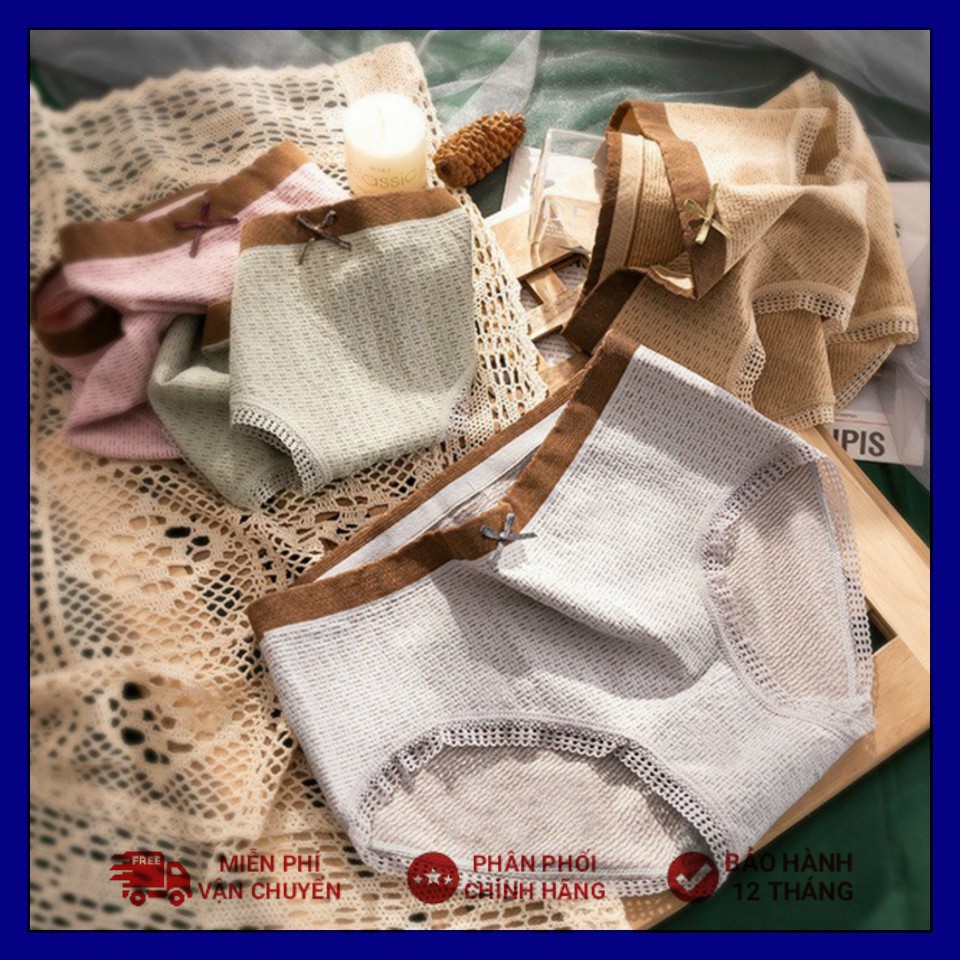 Quần lót nữ Cotton thông hơi viền nâu nơ co giãn 4 chiều, Quần Chíp Nữ Rẻ Đẹp Loại 1