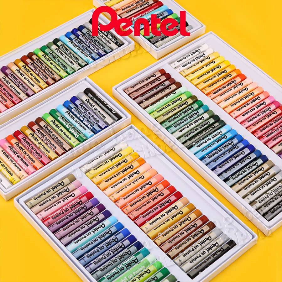 THEARTSHOP Bộ màu sáp dầu PENTEL 16/25/36/50 màu - PENTEL Arts Oil Pastels Set