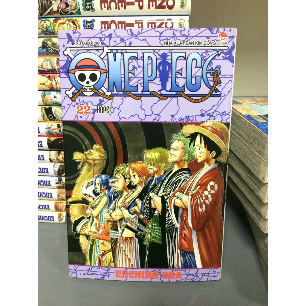 One piece 22