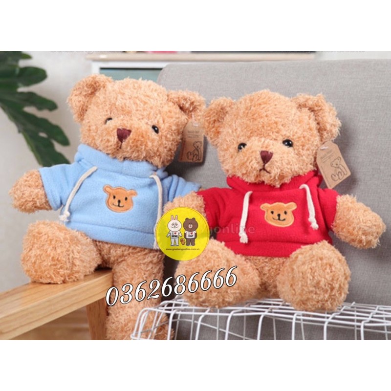 Gấu Teddy - Teddy áo hoodie đội mũ cao cấp - Xưởng Gấu Bông Việt Nam