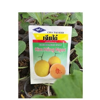 Dưa Hoàng Kim hay dưa Hồng Ngọc- giống Chia Tai nước Thái lan