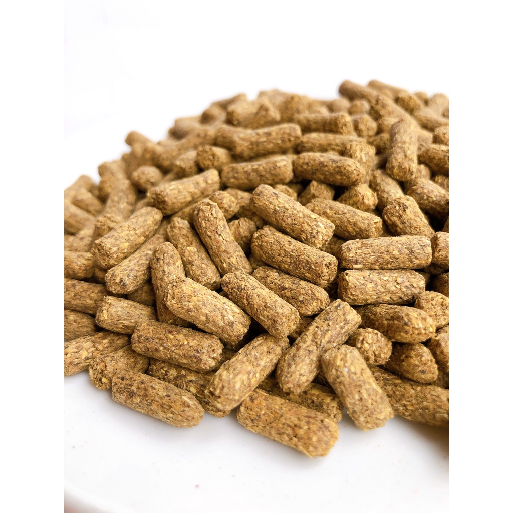 Thức Ăn Rùa Cạn Mazuri 5E5L 100gr  FREE SHIP  Rùa Cạn Mazuri 5E5L CHÍNH HÃNG Dành Cho Rùa Cạn, Bò Sát