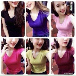 Free ship .xả lỗ vốn -áo thun trơn cổ tim body