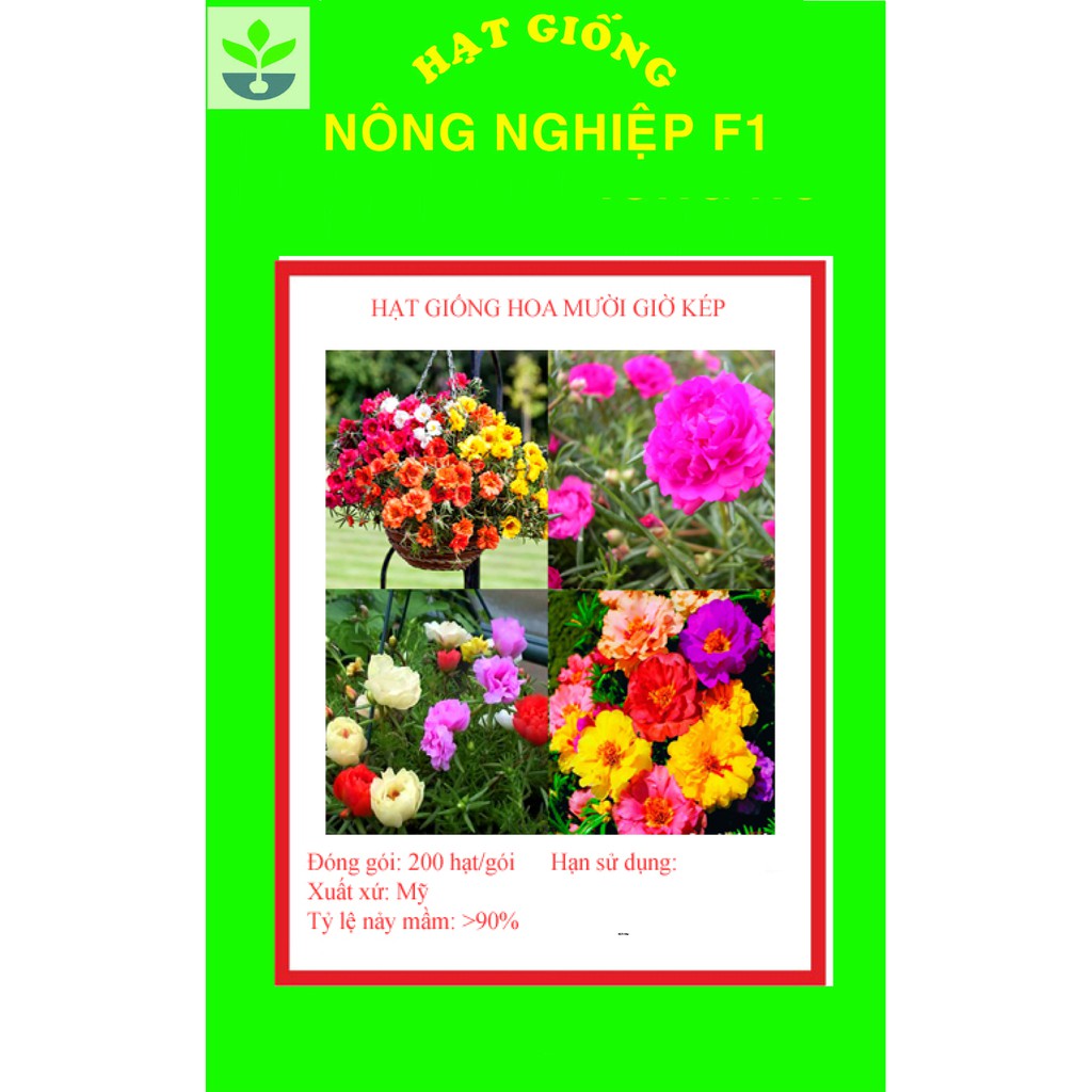 Gói 200 hạt giống hoa mười giờ