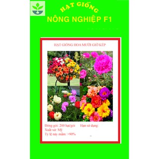 Gói 200 hạt giống hoa mười giờ