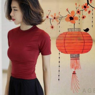 Áo croptop 4 mẫu AGE2X