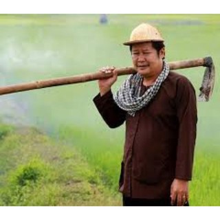 nón lá phong cách hai lúa