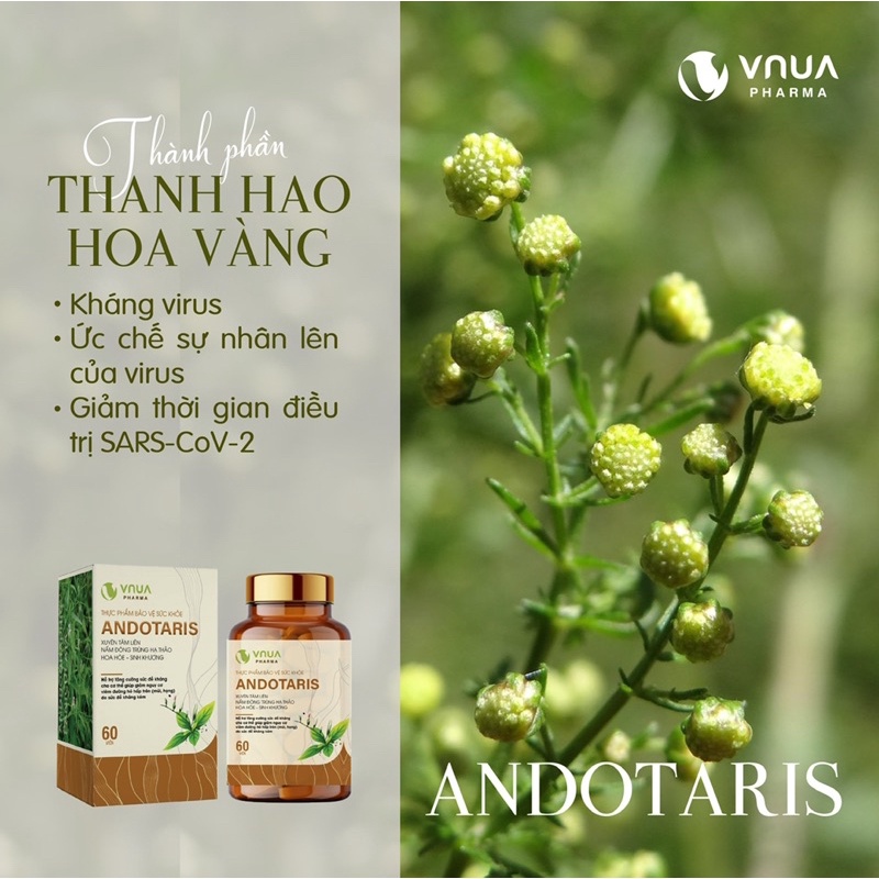 [Sẵn] Viên Uống Tăng Đề Kháng ANDOTARIS Vnua Phẩm hộp 60 viên