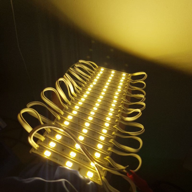 Led 12V 3 Bóng Siêu Sáng 🍀Đèn 12V trang trí Bể Cá deco tiểu cảnh