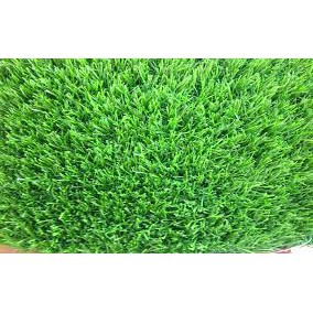 Cỏ Hạt giống Cỏ trồng thảm Bermuda (Bermuda grass seeds) 10 Gram