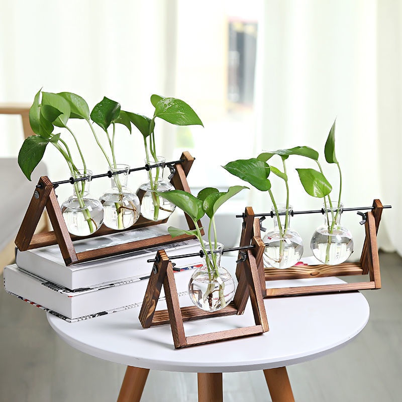 Bình Hoa Thủy Tinh Để Bàn Bằng Gỗ Sáng Tạo