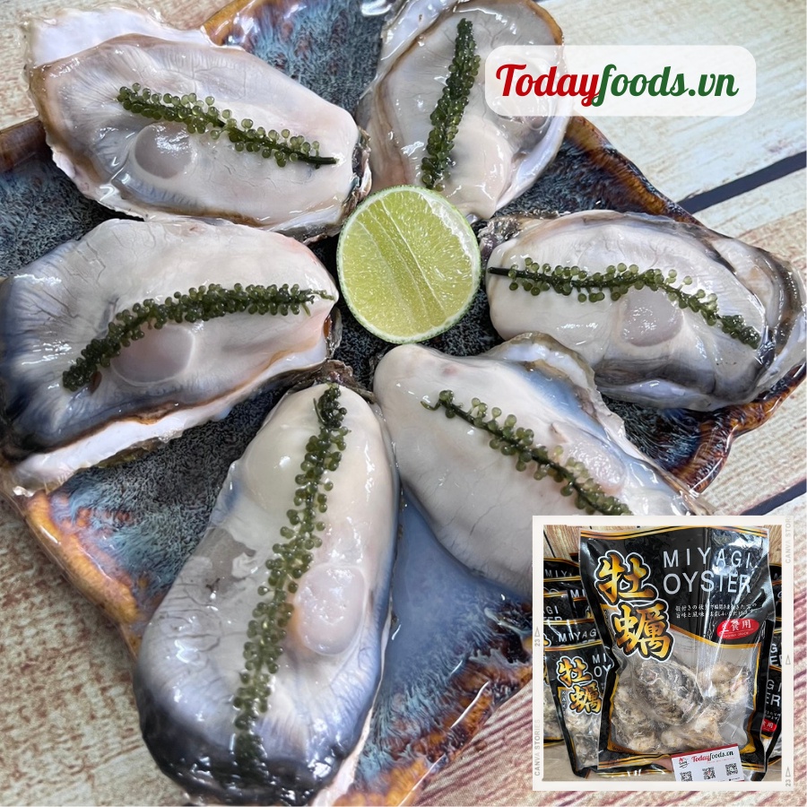 [CHỈ GIAO HCM] Hàu Nhật Bản Miyagi - Hàu chuẩn Sashimi 2L (5-6 con) 1KG Todayfoods