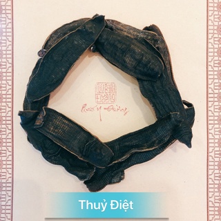 100gr Thủy Điệt